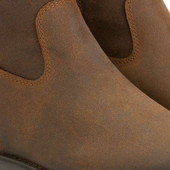 Pordic - Wax suede ankle boots - Lady - Cognac DFW