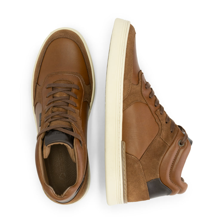 Moulton - Leather sneakers - Men - Cognac UPD