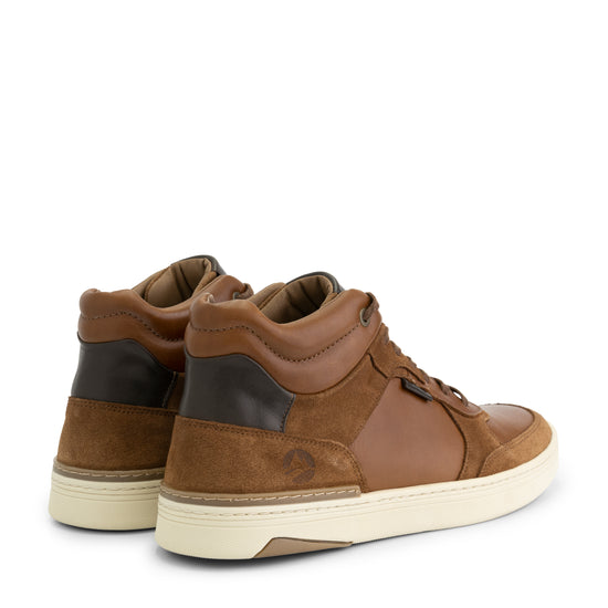 Moulton - Leather sneakers - Men - Cognac BD